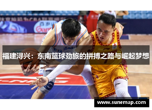福建浔兴：东南篮球劲旅的拼搏之路与崛起梦想